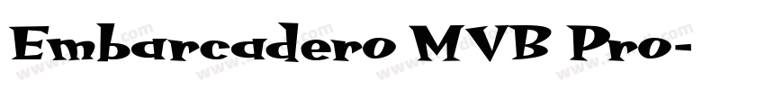 Embarcadero MVB Pro字体转换
